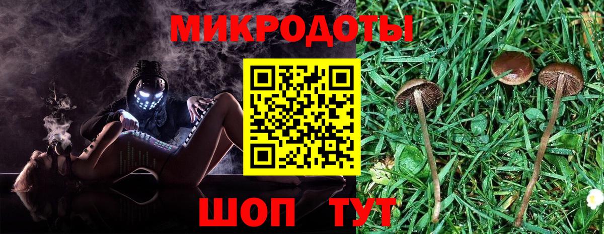 Псилоцибиновые грибы Cubensis Родники