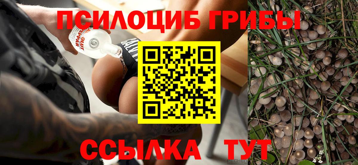 Родники  закладка  Вход с VPN  Псилоцибиновые грибы Magic Shrooms 